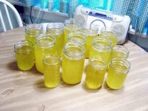 rendered butter cooling