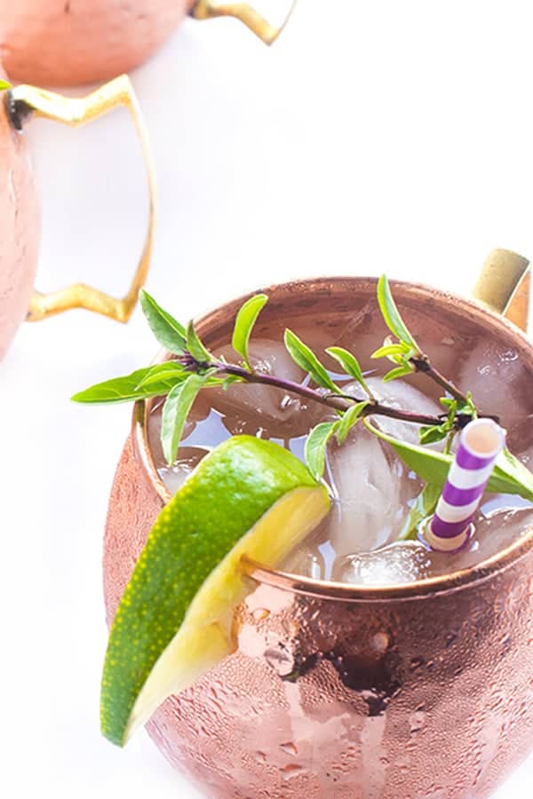 tom-collins-recipe-a-refreshing-gin-cocktail