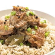 slow cooker chicken adobe closeup