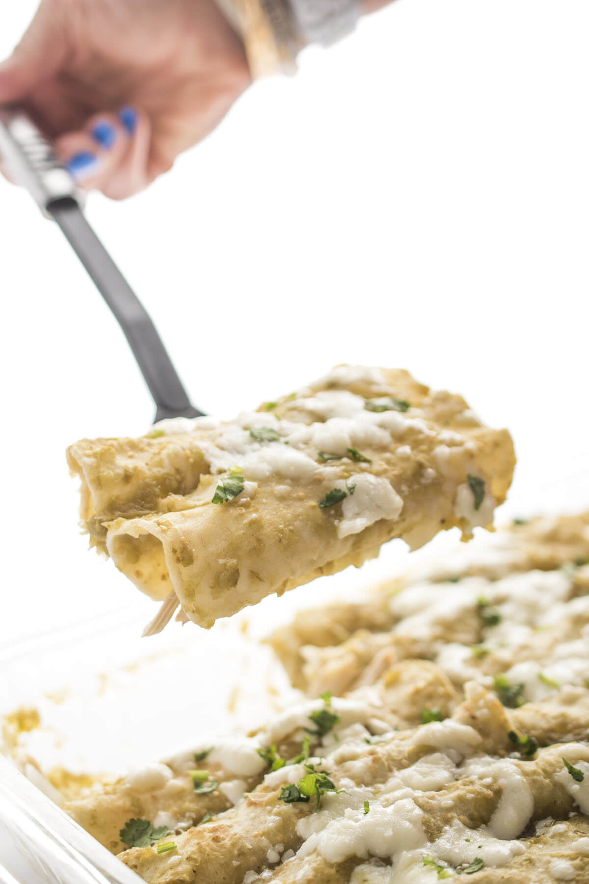 white corn tortillas chicken enchiladas verdes