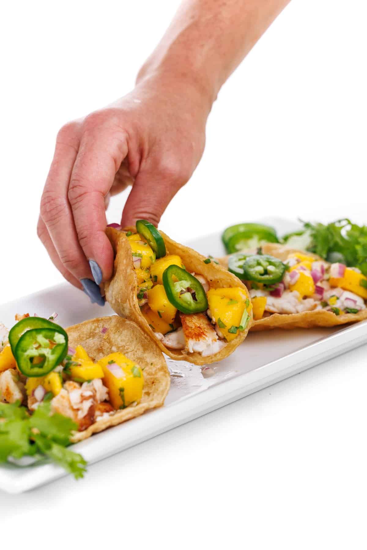 Picking up fish taco with mango salsa.