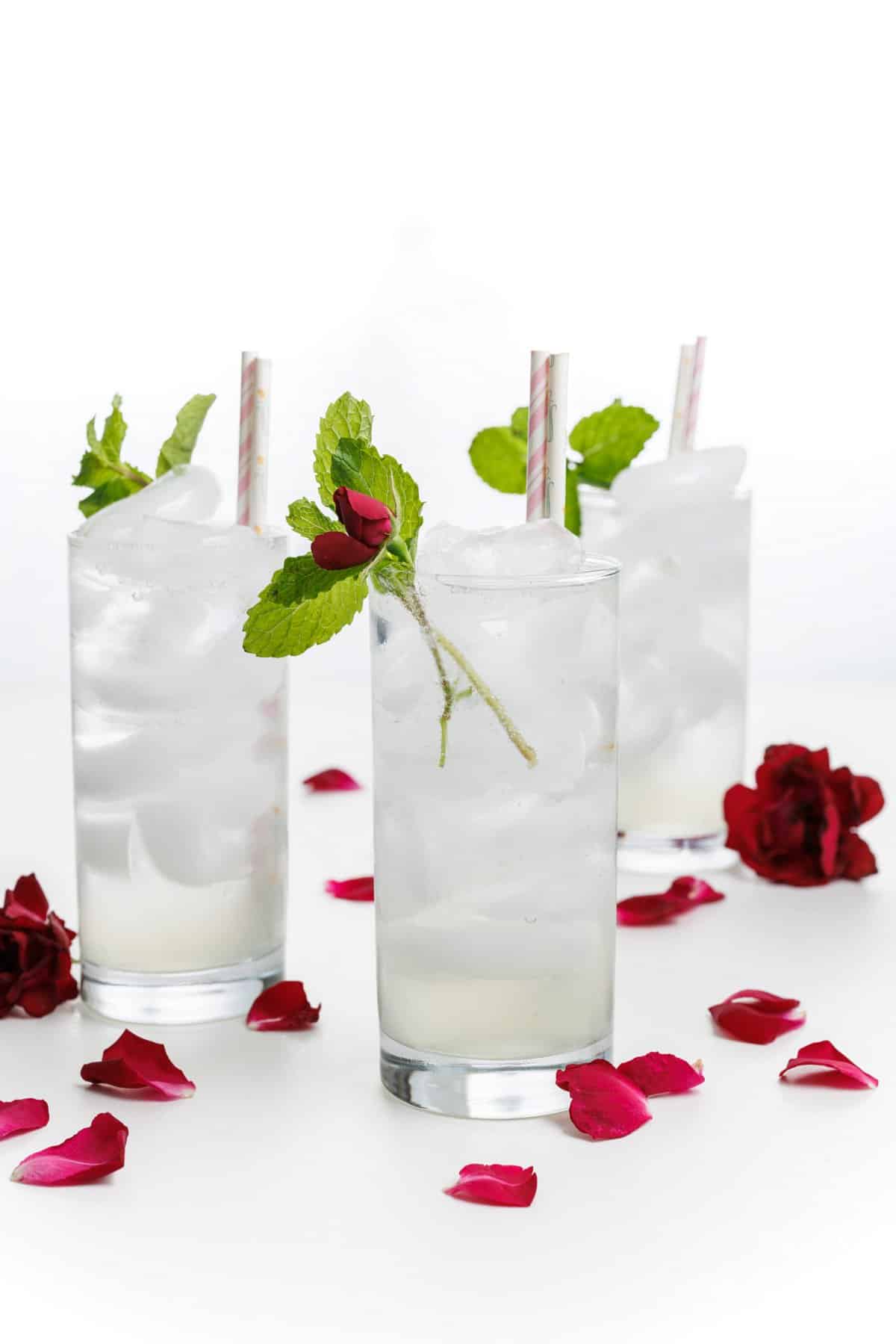 Rose water cooler