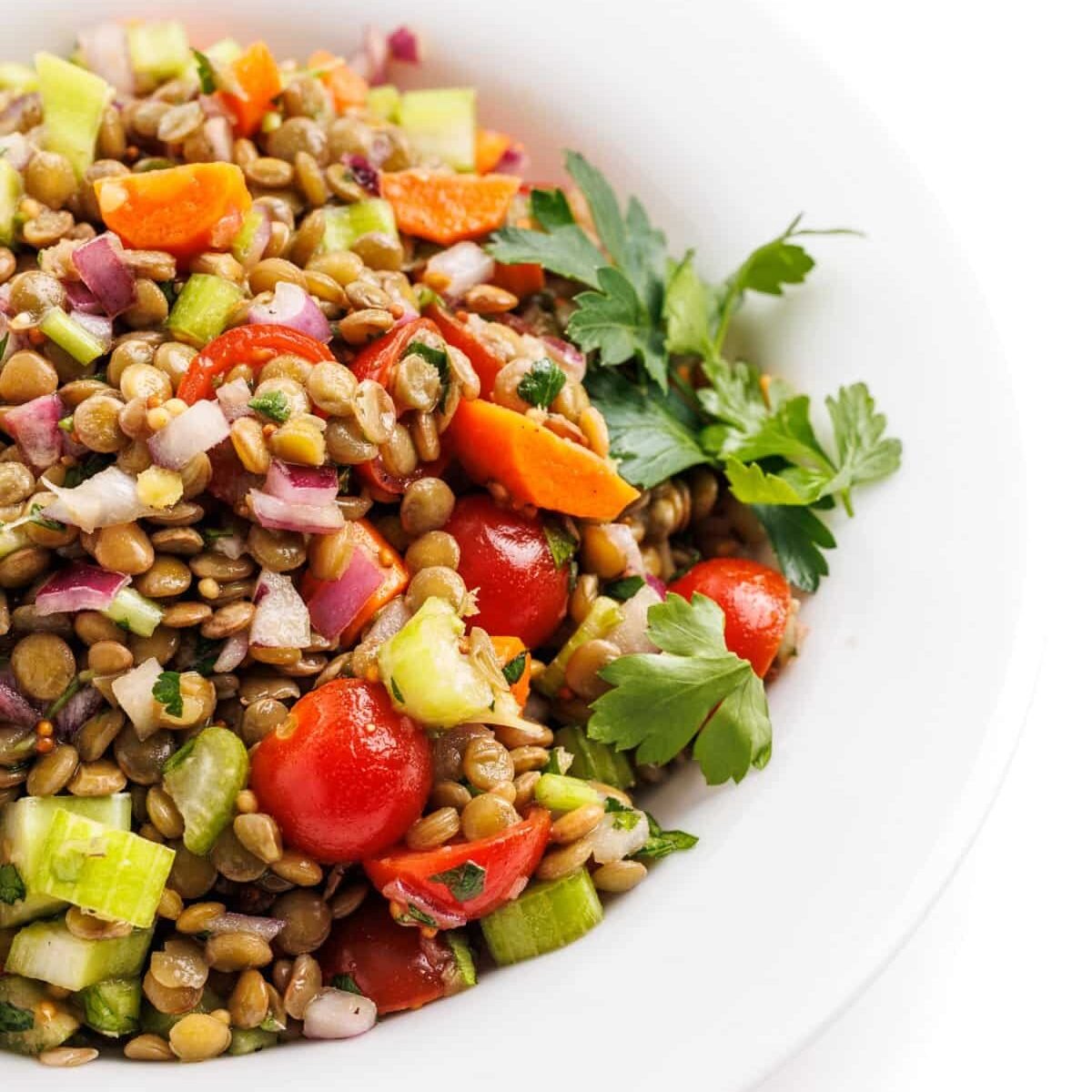Lentil Salad with Red Wine Vinaigrette
