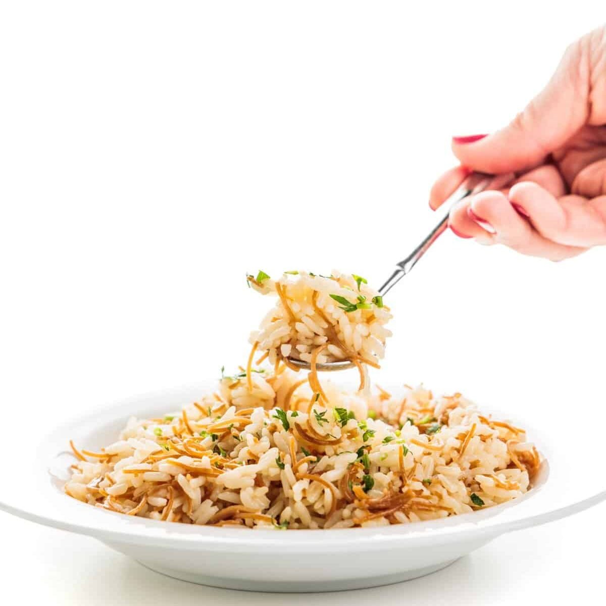 Spoonful of lebanese rice pilaf with vermicelli.