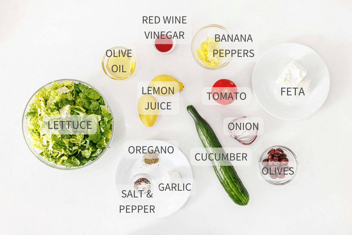Labeled ingredients for traditional Greek salad on a white backdrop.