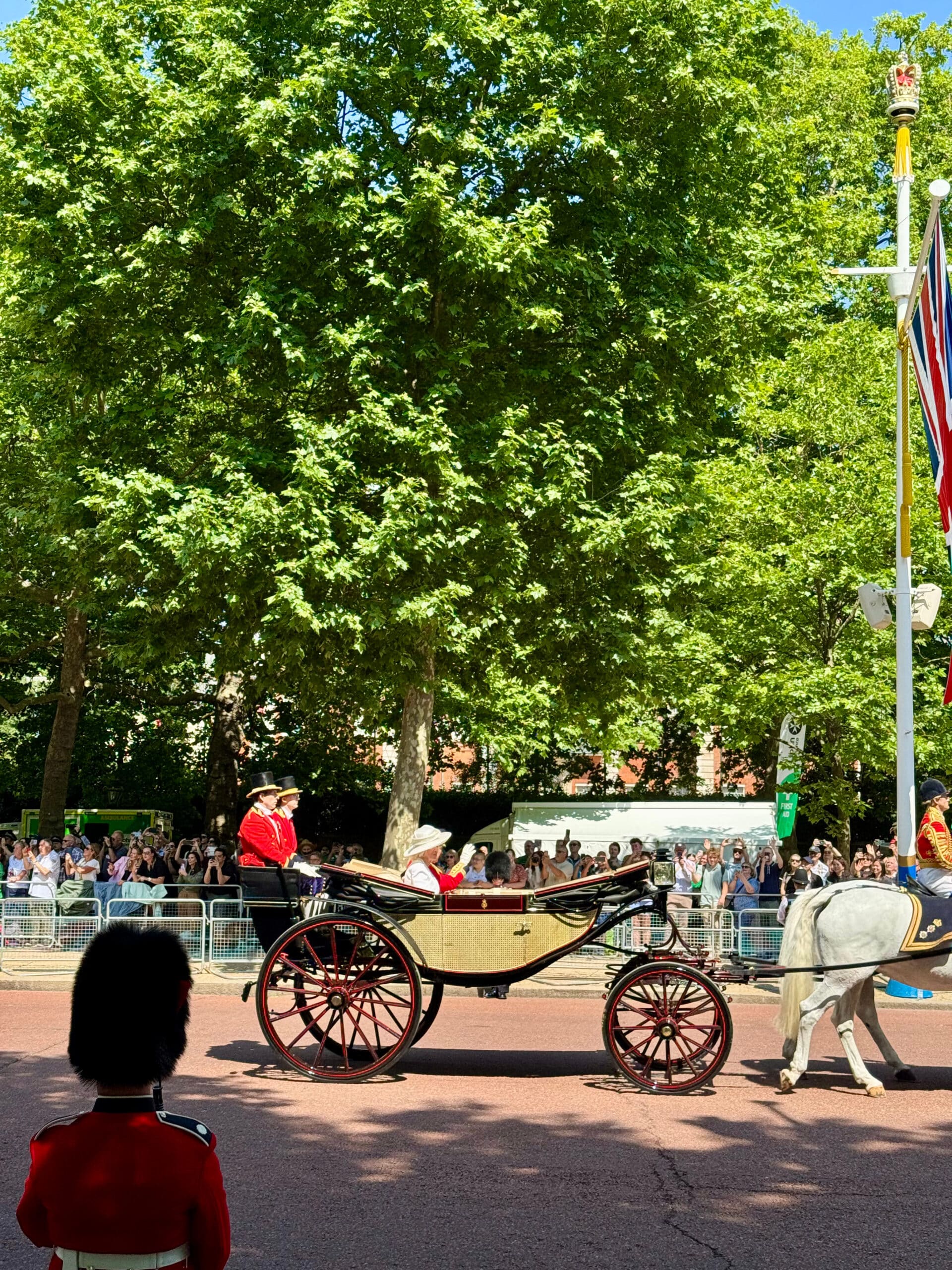 King Charles and Queen Camila on a carriage in a parade.